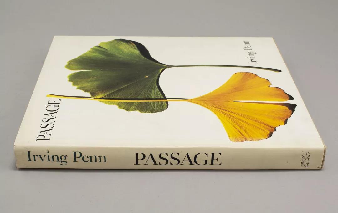 Irving Penn的摄影选《Passage》